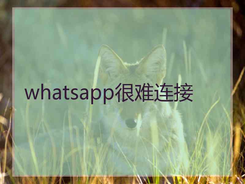 whatsapp很难连接