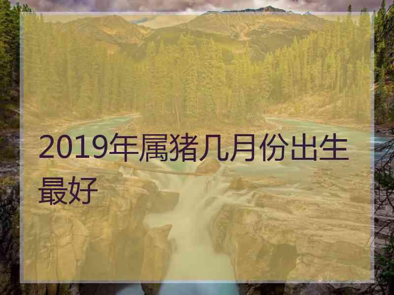 2019年属猪几月份出生最好