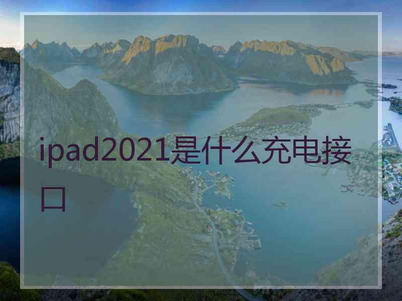 ipad2021是什么充电接口