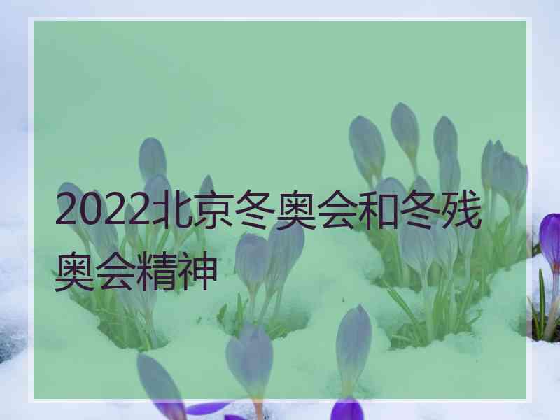 2022北京冬奥会和冬残奥会精神