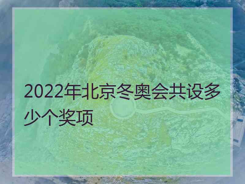 2022年北京冬奥会共设多少个奖项