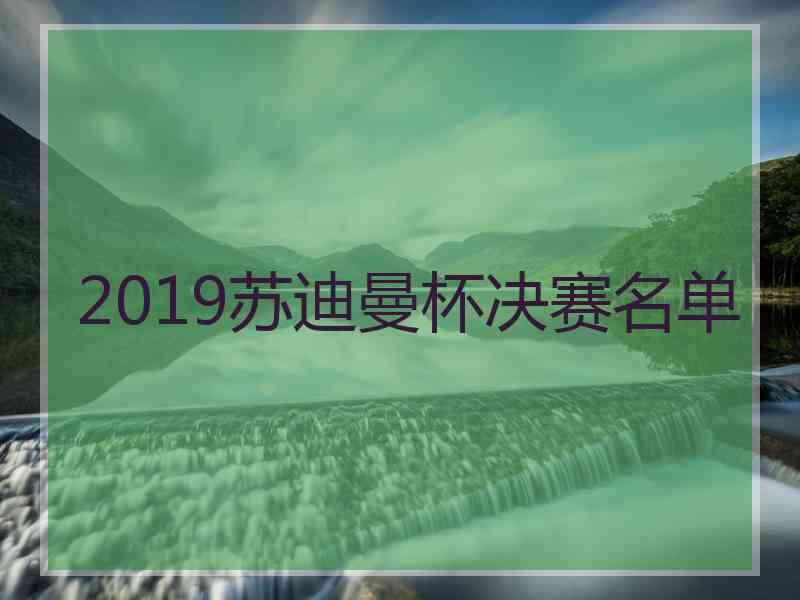 2019苏迪曼杯决赛名单