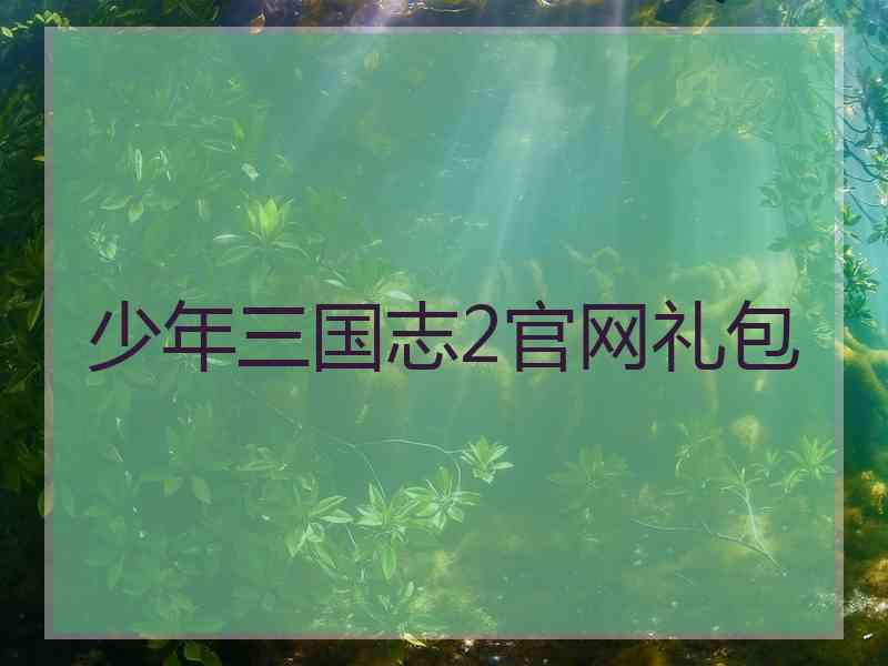 少年三国志2官网礼包