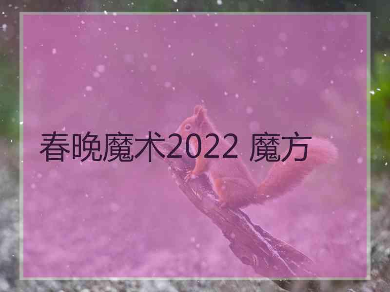 春晚魔术2022 魔方