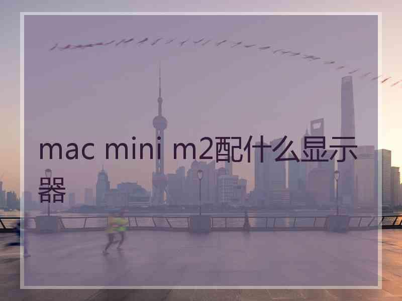 mac mini m2配什么显示器