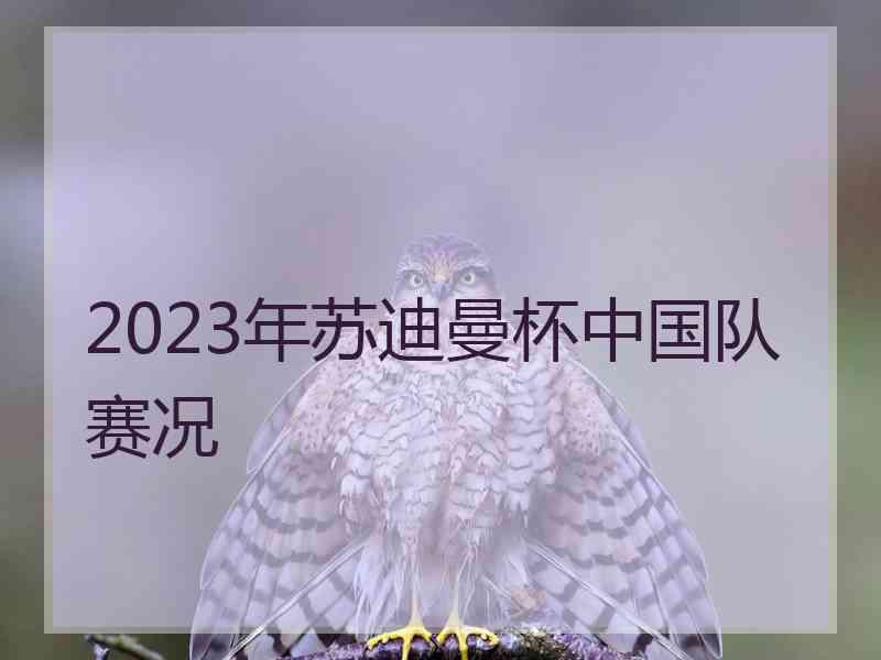 2023年苏迪曼杯中国队赛况