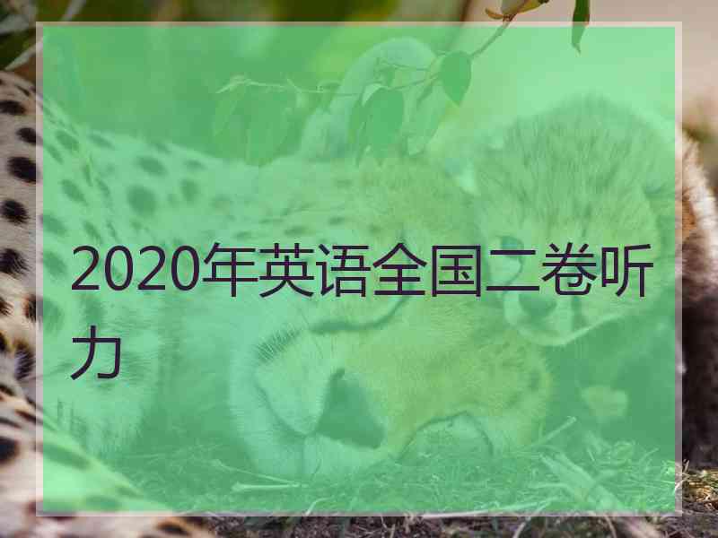 2020年英语全国二卷听力