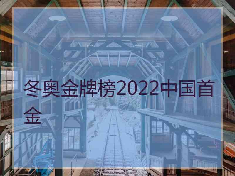 冬奥金牌榜2022中国首金