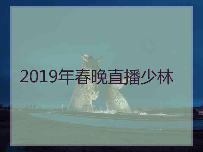 2019年春晚直播少林