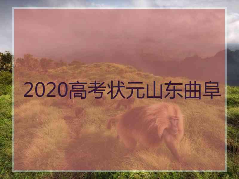 2020高考状元山东曲阜