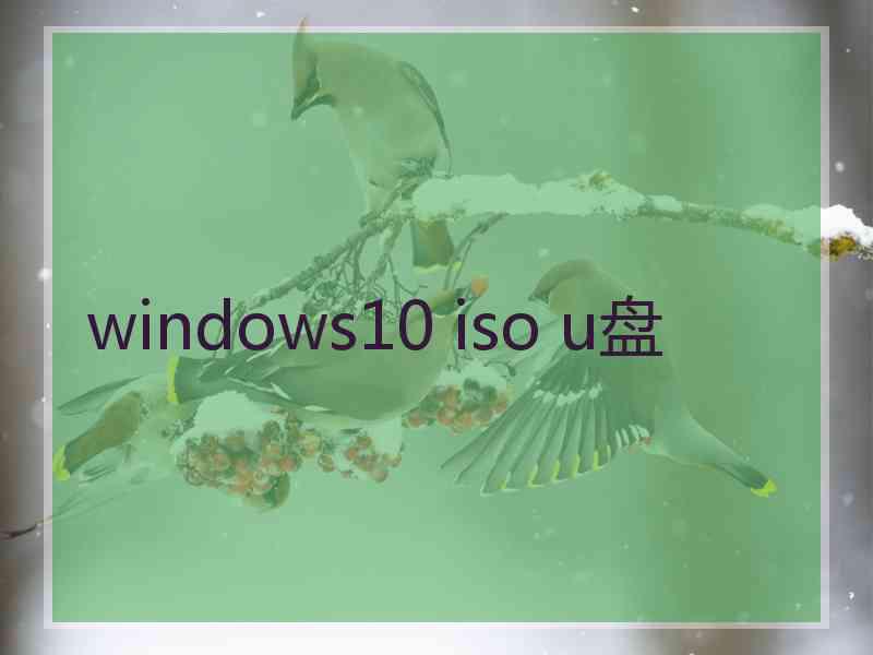 windows10 iso u盘