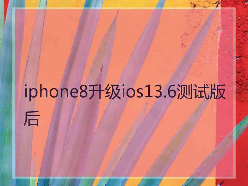 iphone8升级ios13.6测试版后