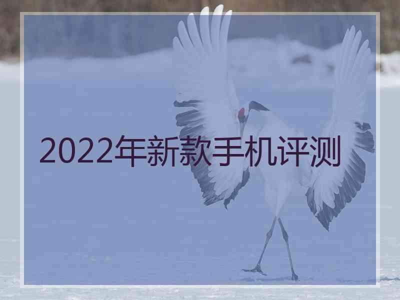 2022年新款手机评测