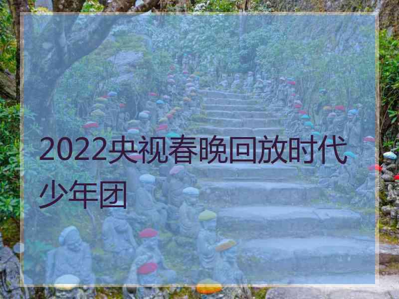 2022央视春晚回放时代少年团