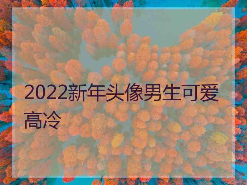 2022新年头像男生可爱高冷