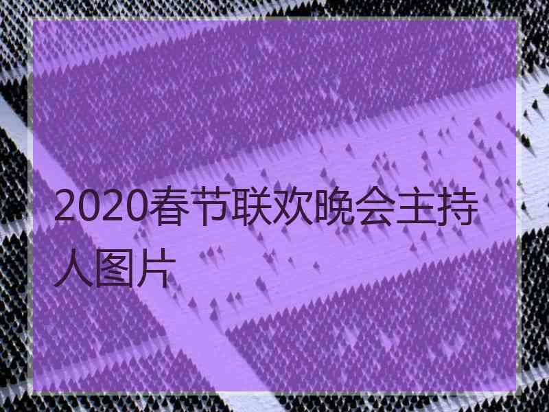 2020春节联欢晚会主持人图片