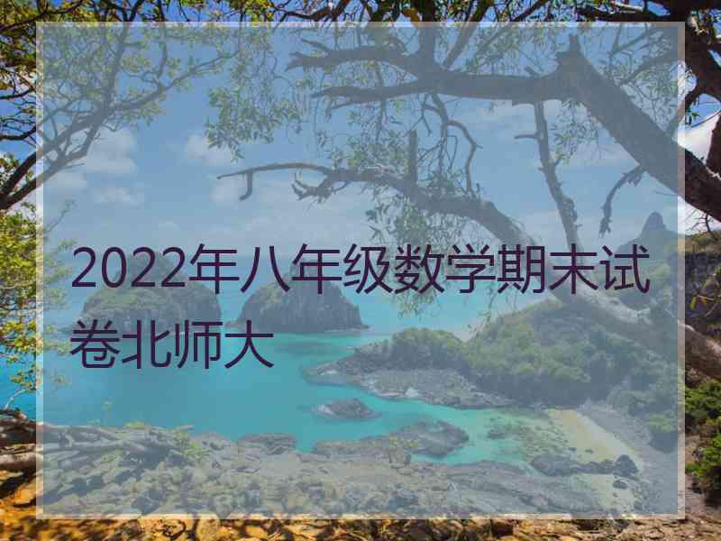 2022年八年级数学期末试卷北师大