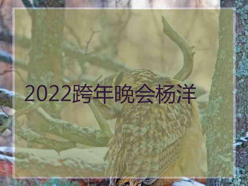 2022跨年晚会杨洋