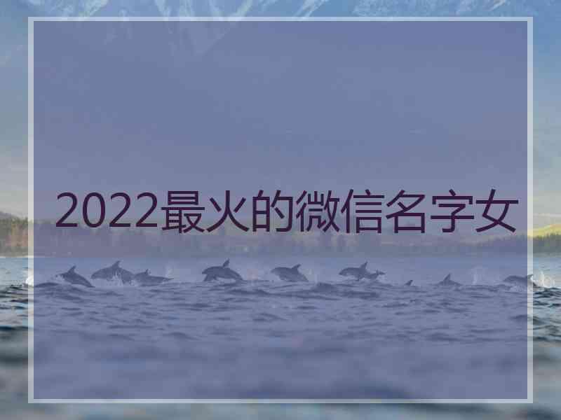 2022最火的微信名字女