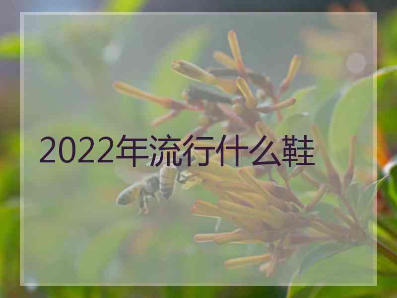 2022年流行什么鞋