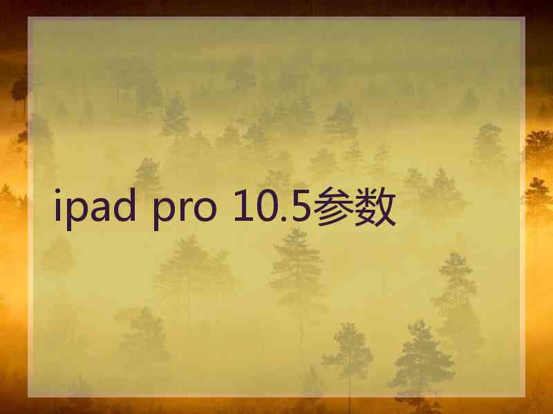 ipad pro 10.5参数