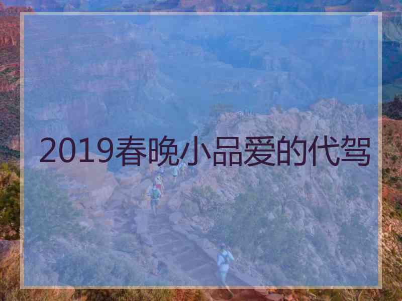 2019春晚小品爱的代驾