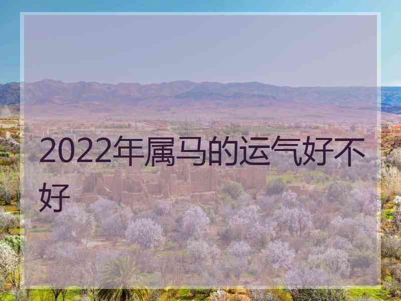 2022年属马的运气好不好