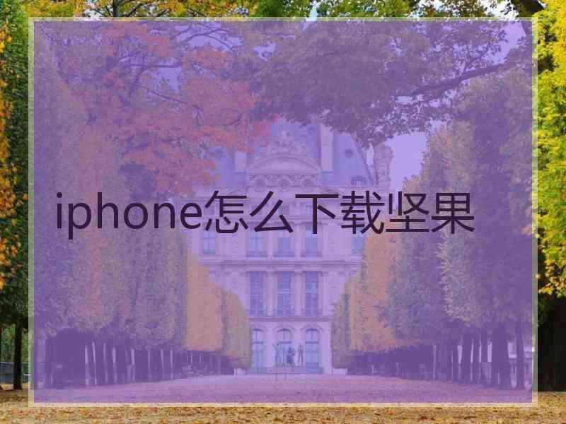 iphone怎么下载坚果