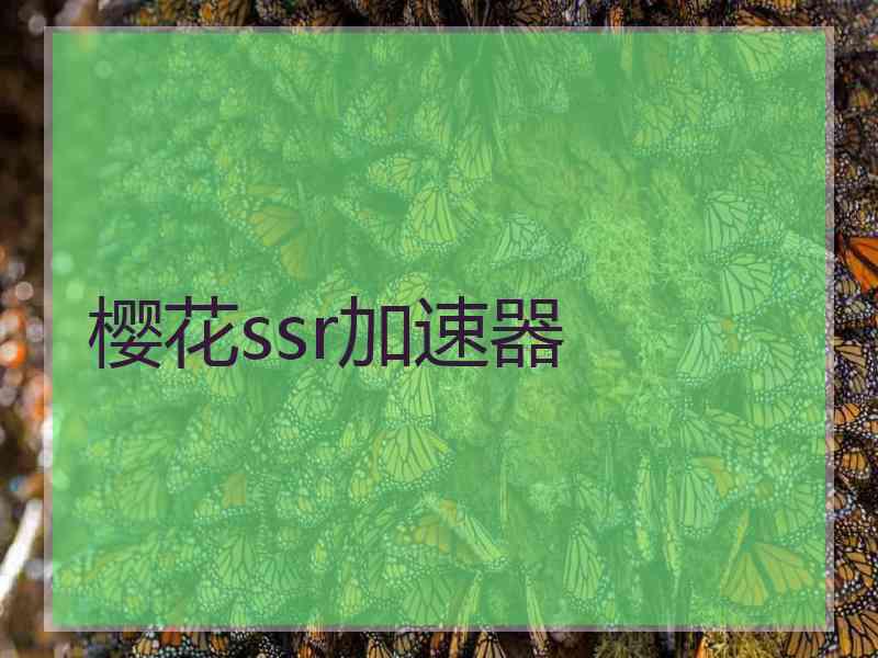 樱花ssr加速器