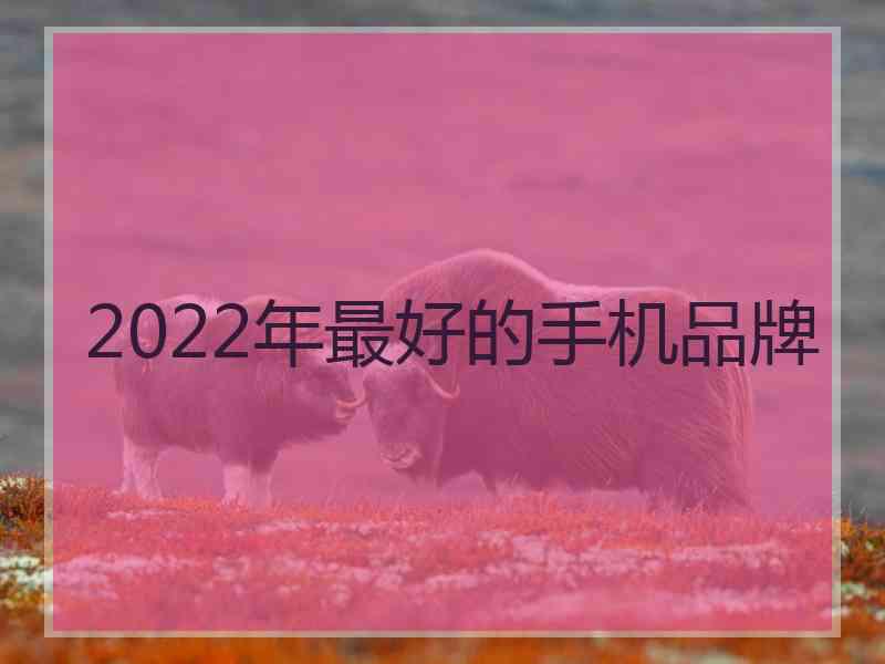 2022年最好的手机品牌