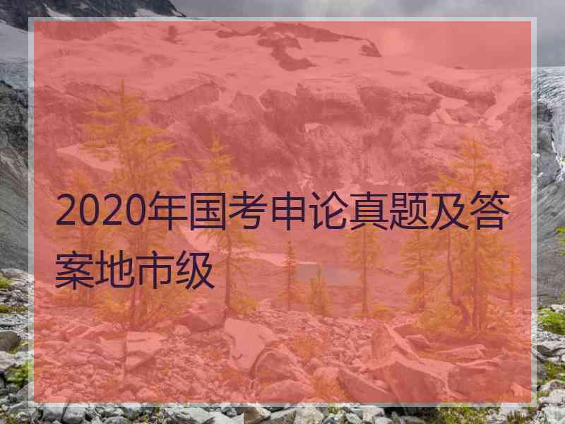 2020年国考申论真题及答案地市级