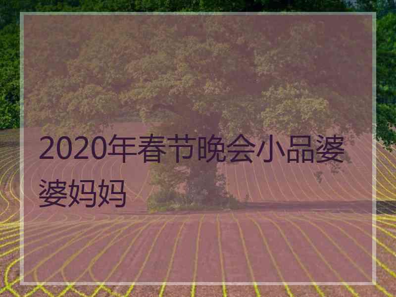 2020年春节晚会小品婆婆妈妈