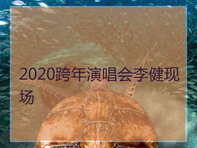 2020跨年演唱会李健现场