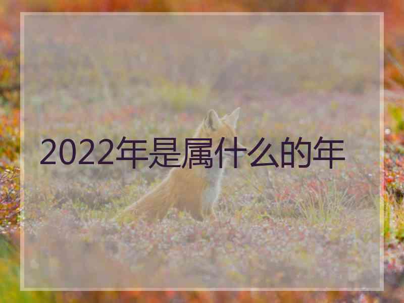 2022年是属什么的年