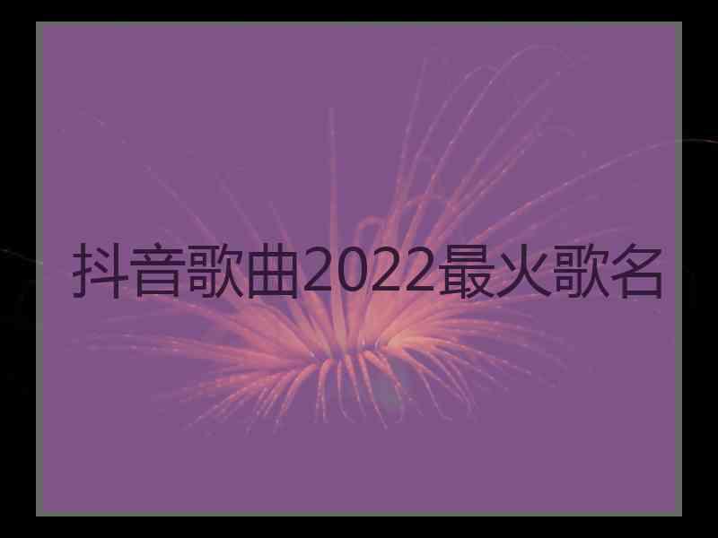 抖音歌曲2022最火歌名