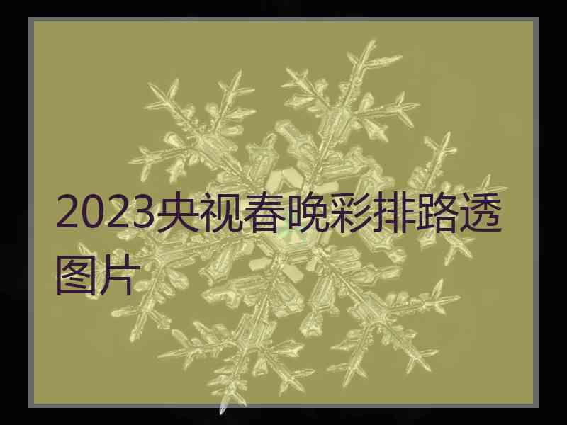 2023央视春晚彩排路透图片