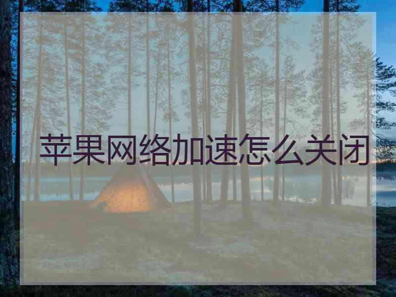 苹果网络加速怎么关闭