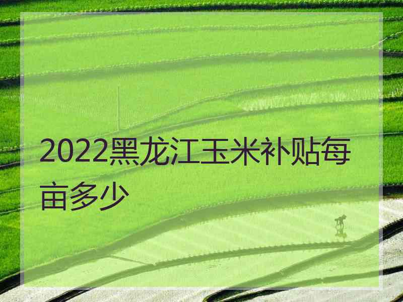 2022黑龙江玉米补贴每亩多少