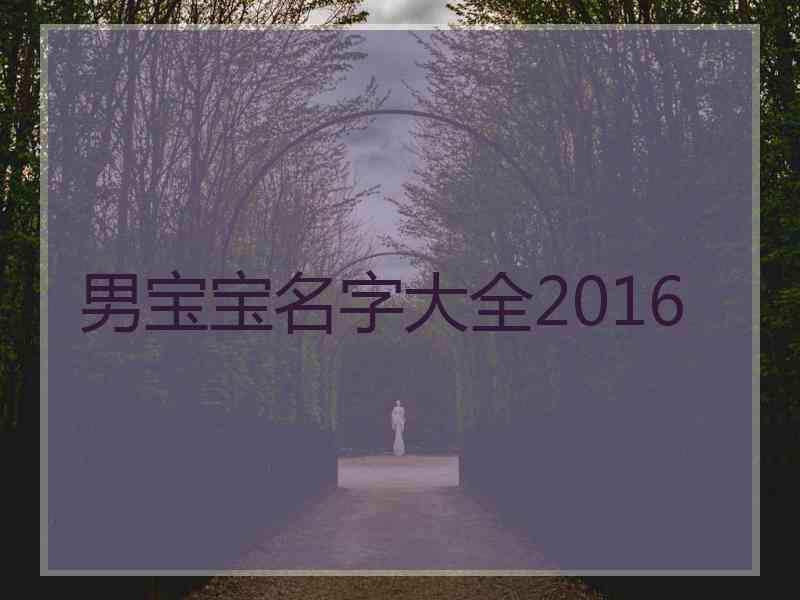 男宝宝名字大全2016