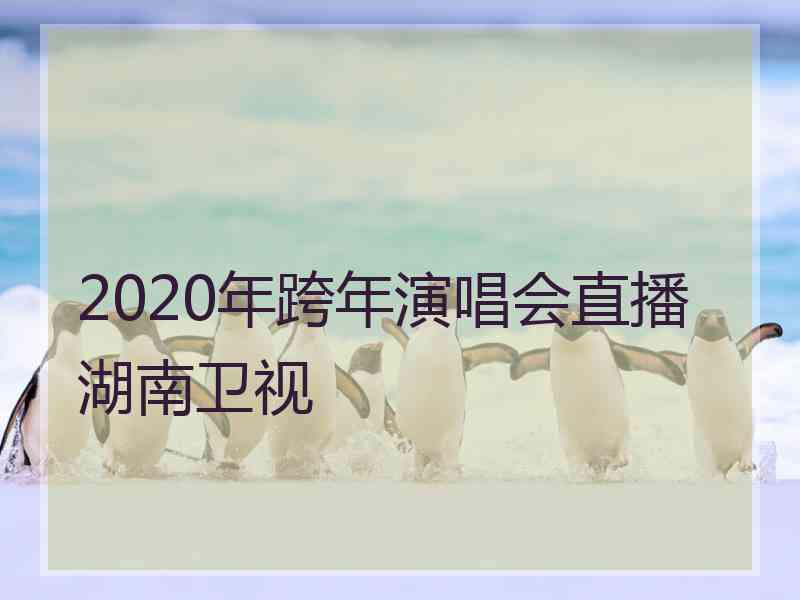 2020年跨年演唱会直播湖南卫视