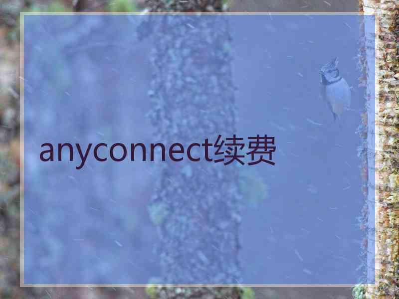 anyconnect续费