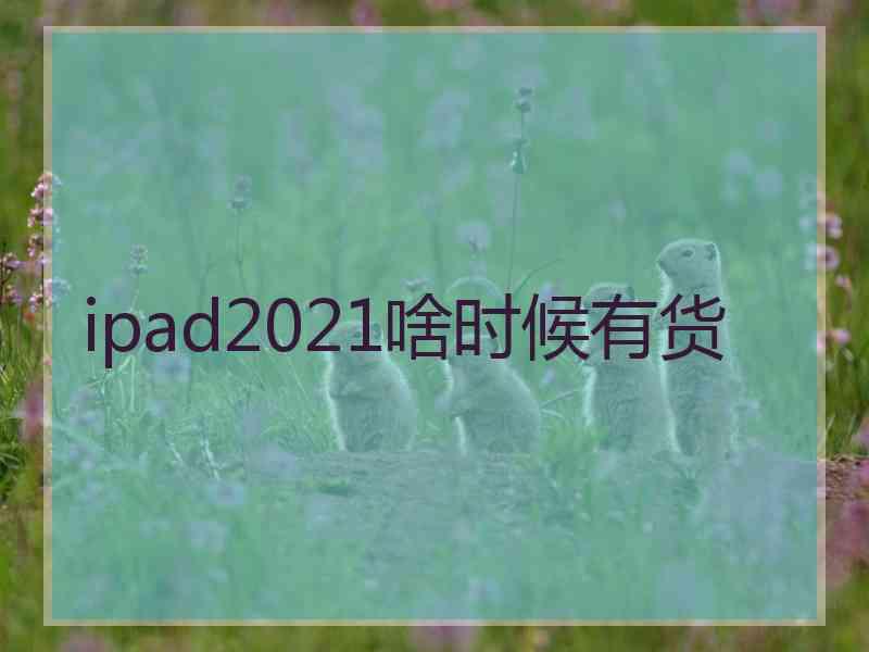 ipad2021啥时候有货