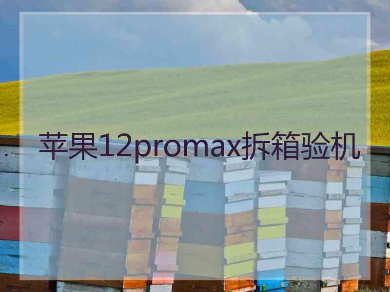 苹果12promax拆箱验机