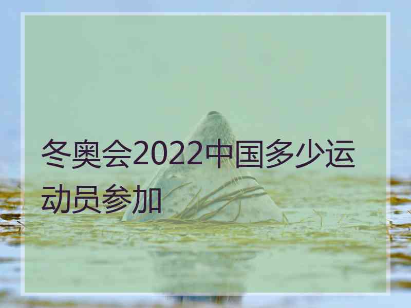 冬奥会2022中国多少运动员参加