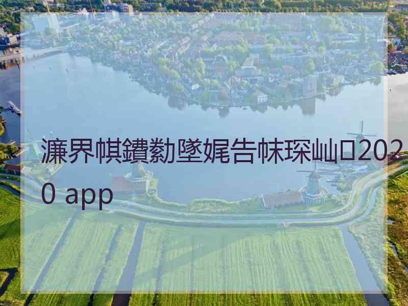 濂界帺鐨勬墜娓告帓琛屾2020 app