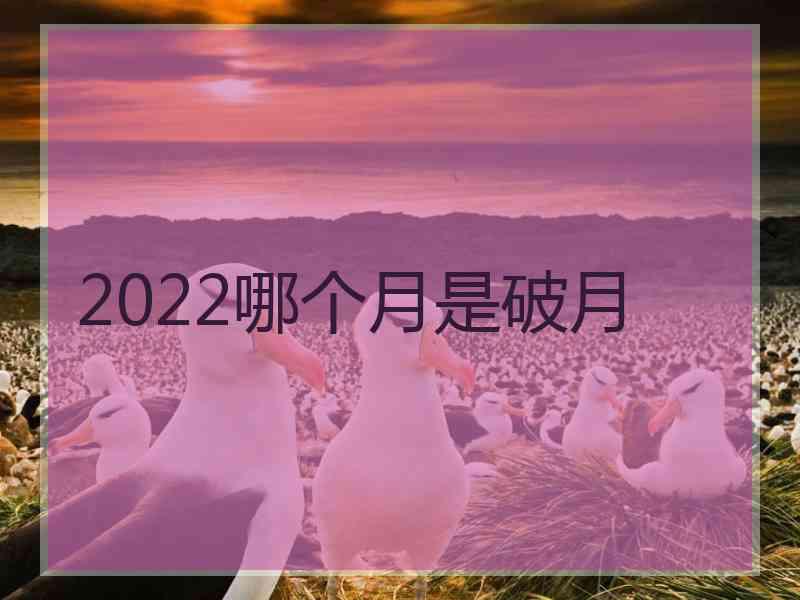 2022哪个月是破月