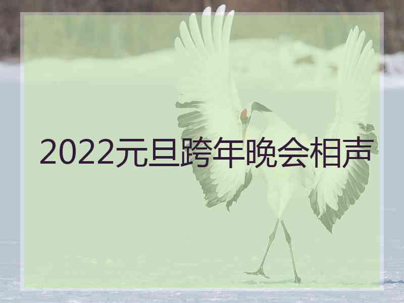 2022元旦跨年晚会相声