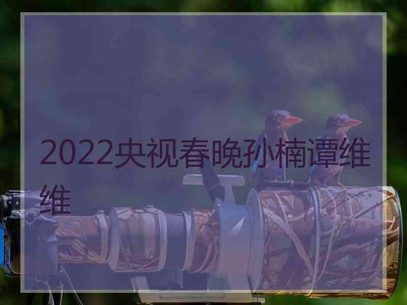 2022央视春晚孙楠谭维维