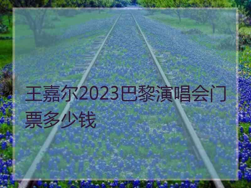 王嘉尔2023巴黎演唱会门票多少钱