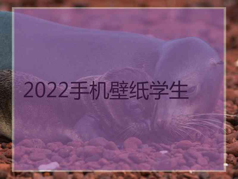 2022手机壁纸学生